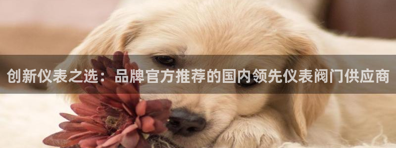 新宝gg维护