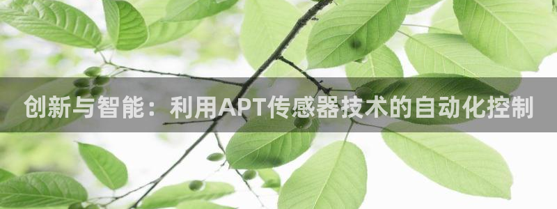 新宝gg总管