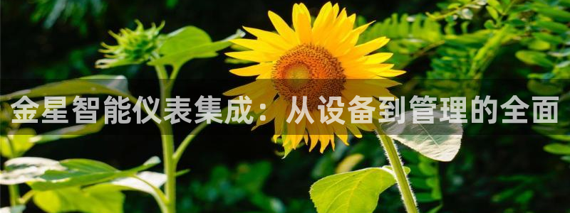 新宝GG手机客户端