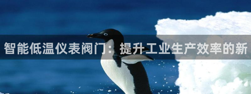 新宝gg如何代理