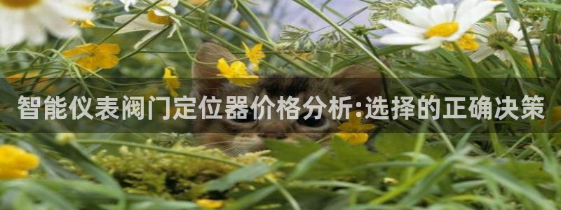新宝gg下载官网下载