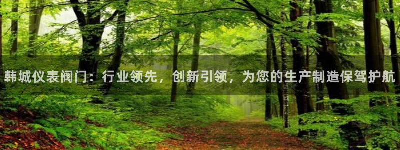新宝GG 黑钱