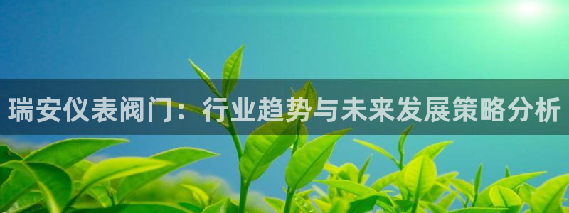 新宝GG上级