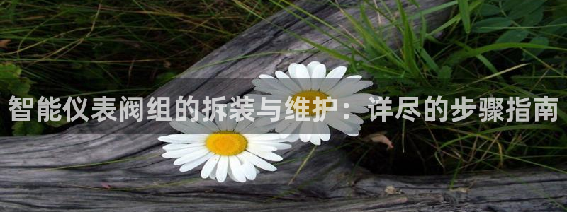 新宝 gg 总代理