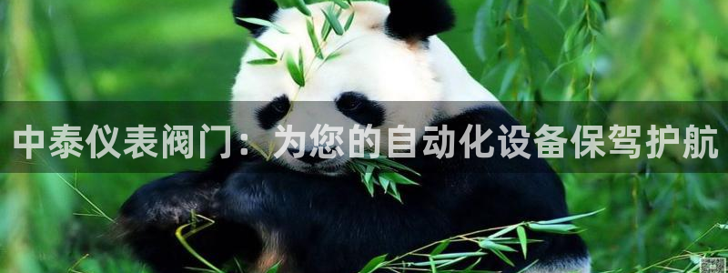 新宝gg2创造奇迹登录