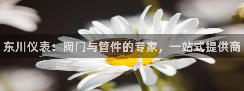 新宝gg吧