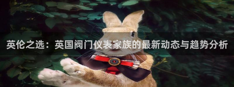 新宝gg4