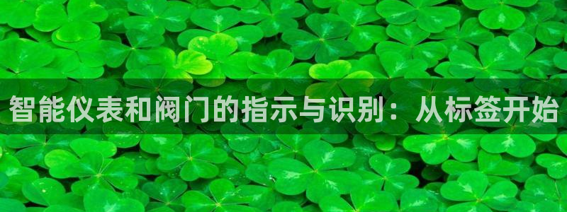 新宝gg在哪开户