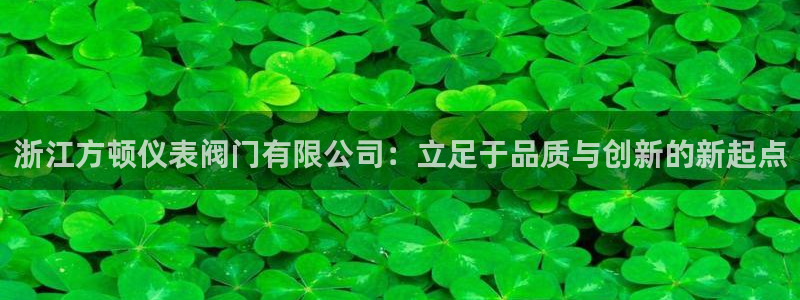 新宝GG玩家