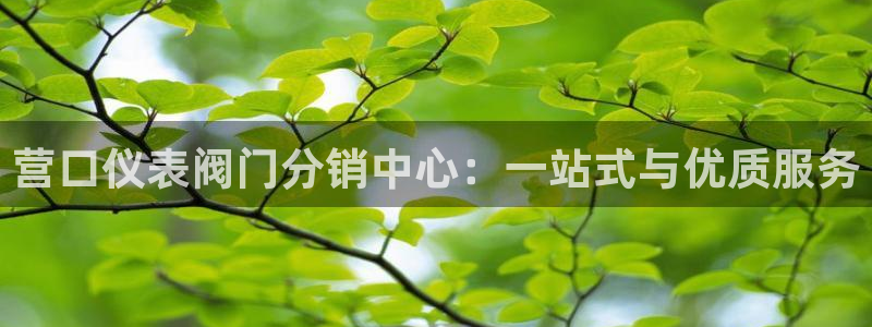 c新宝GG