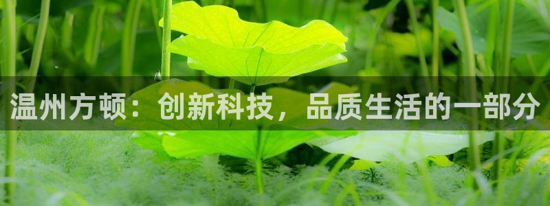 新宝gg一创造奇迹