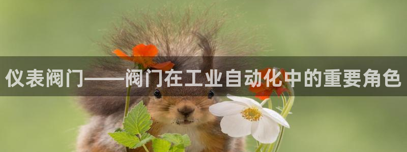 新宝gg平台
