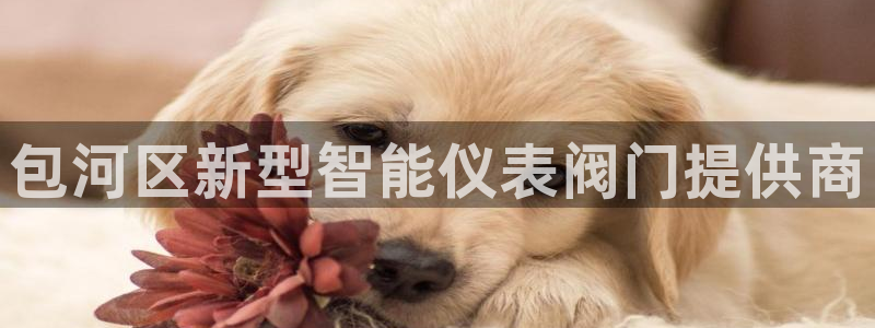 新宝gg有规律么