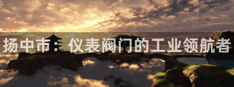 新宝gg挂机软件下载