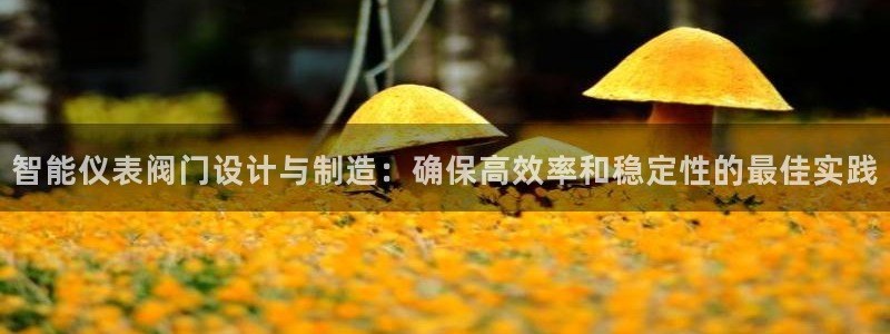 新宝GG的老板