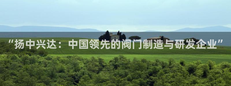 新宝gg怎么开户