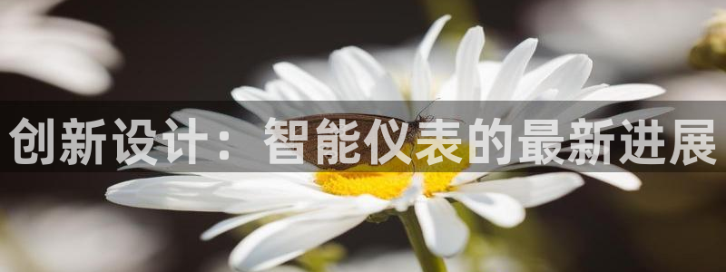 新宝gg重庆