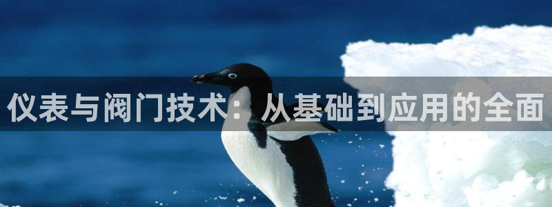新宝gg娱乐官网