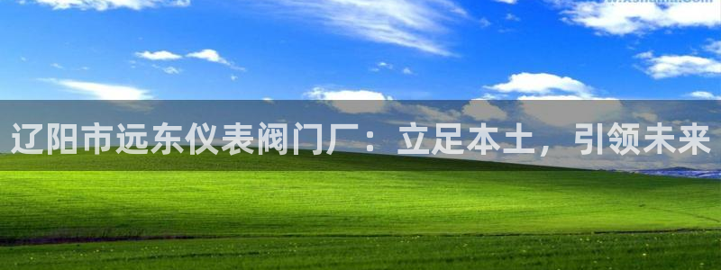 新宝gg合法吗