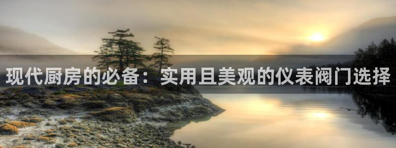 谁有新宝GG