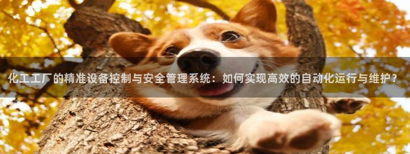 新宝gg 创