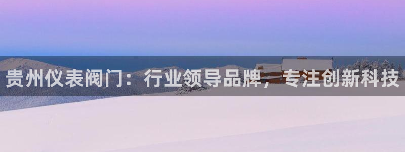 新宝gg计划