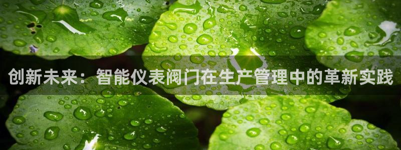新宝gg 登陆
