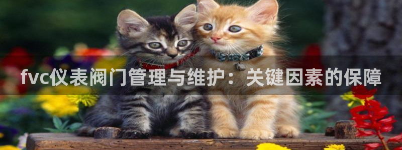 新宝gg代