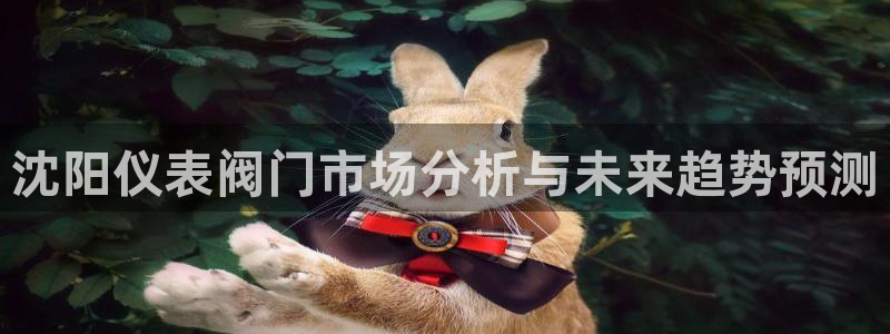 新宝gg域