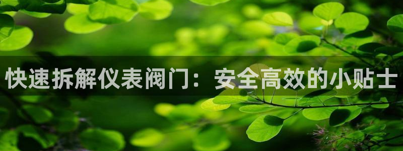 新宝gg分红