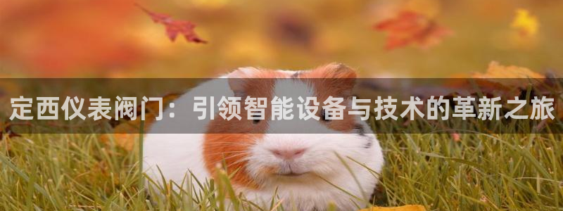 新宝gg网
