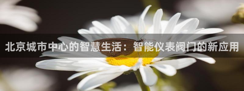 新宝娱乐gg