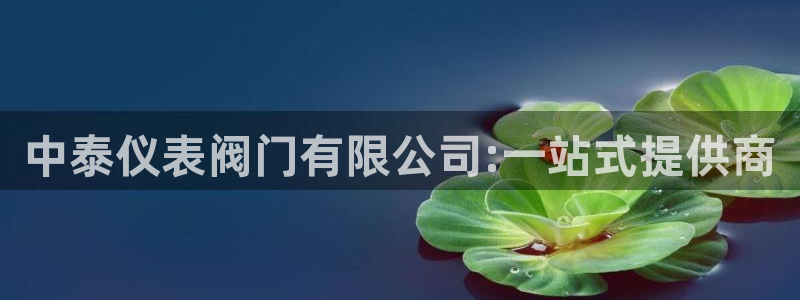 新宝gg挣钱