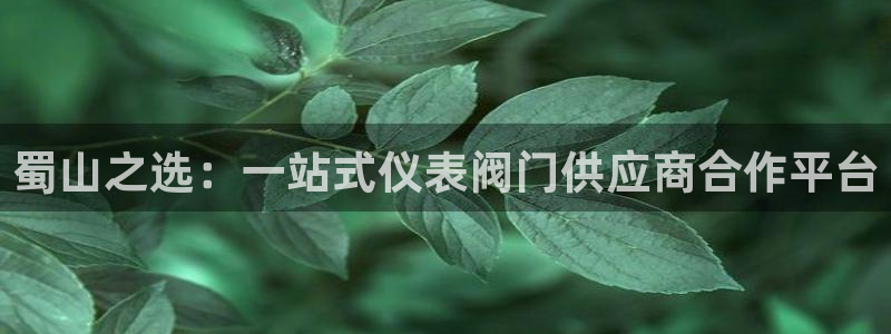 新宝GG最高返点多少