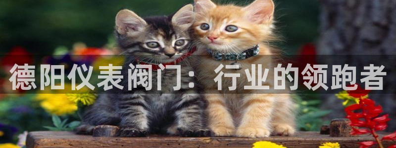 新宝gg代理登录