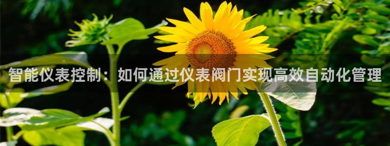 新宝gg手机版下载