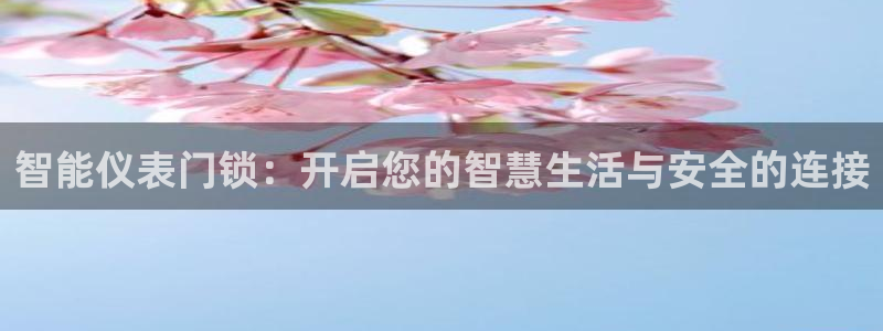 新宝gg佳740005