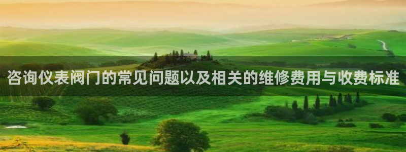 新宝gg注册登录网址