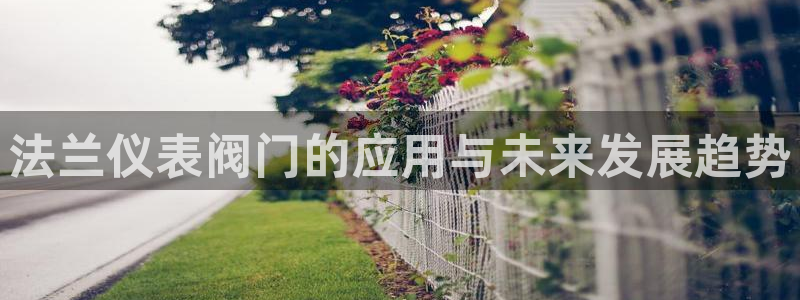 新宝哈哈gg