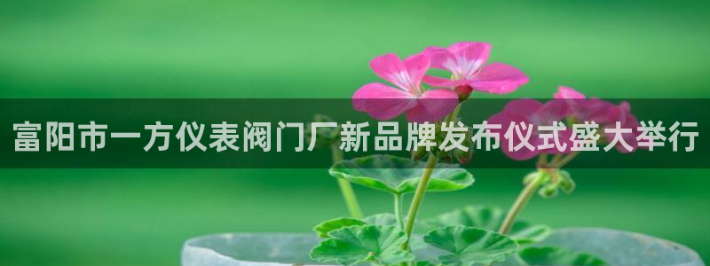 新宝gg赚钱
