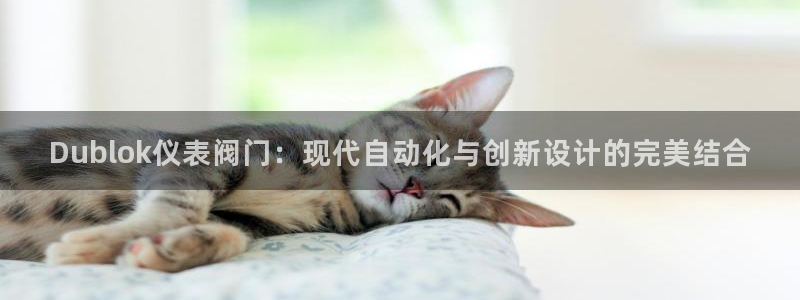 新宝gg-创业奇迹