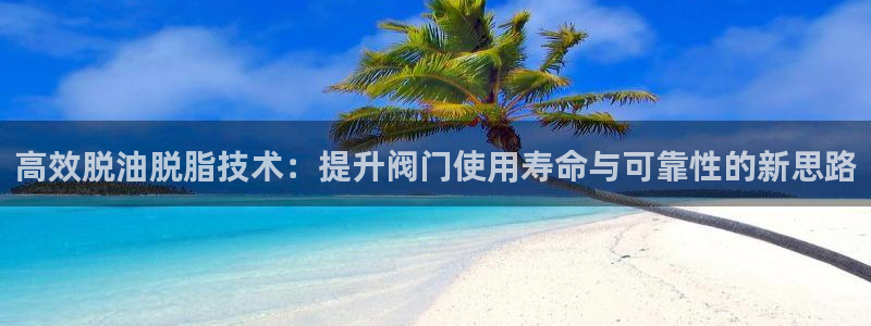 新宝GG玩家