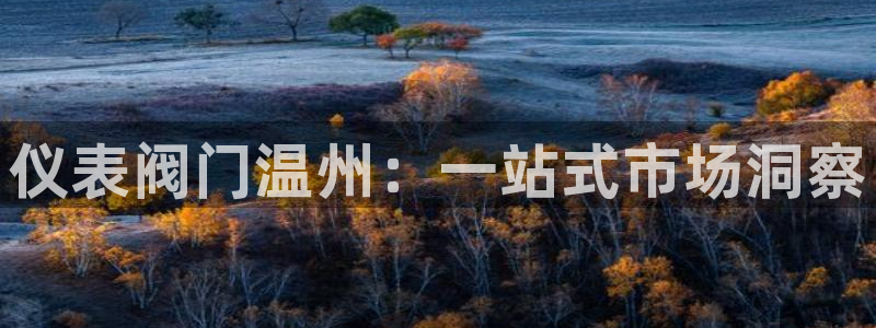 新宝gg充值