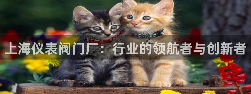 新宝gg娱乐官网