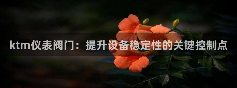新宝gg试玩
