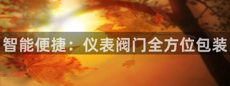 新宝gg在哪开户