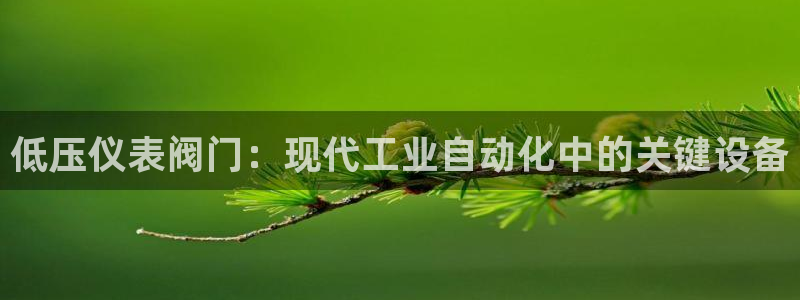 新宝gg图片