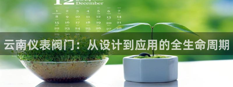 新宝gg创造奇迹