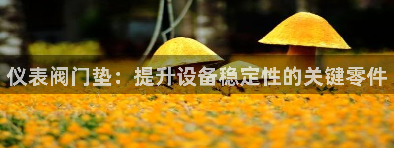 新宝gg娱乐注册全芏网