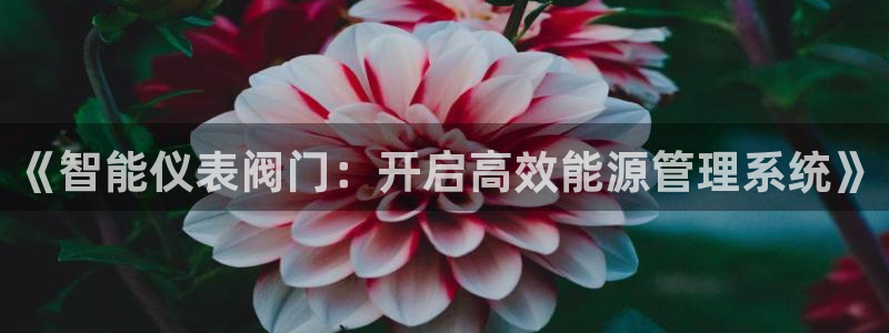 新宝gg返点1956是多少